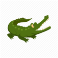 Crocodile-portable.png