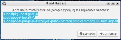 Vitalinux-dualizando con uefi-boot repair2.png